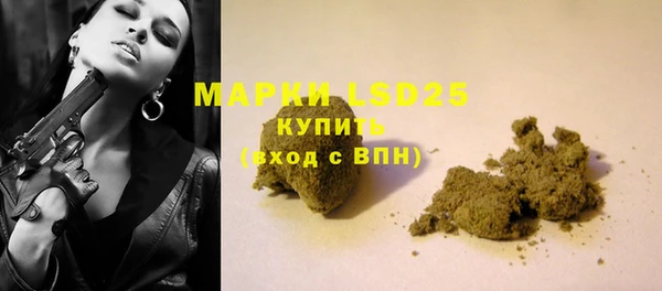 ПСИЛОЦИБИНОВЫЕ ГРИБЫ Алзамай
