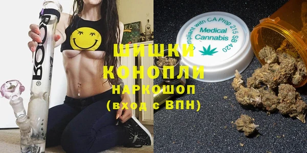 ПСИЛОЦИБИНОВЫЕ ГРИБЫ Алзамай