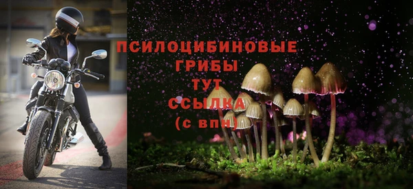 ПСИЛОЦИБИНОВЫЕ ГРИБЫ Алзамай