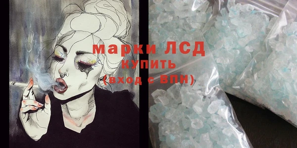 ПСИЛОЦИБИНОВЫЕ ГРИБЫ Алзамай