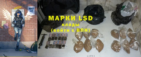 ПСИЛОЦИБИНОВЫЕ ГРИБЫ Алзамай